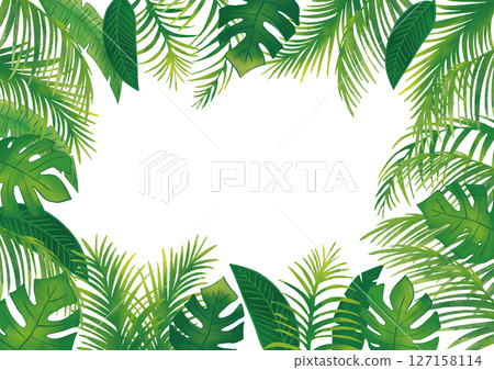 水彩熱帶植物裝飾框組4 127158114