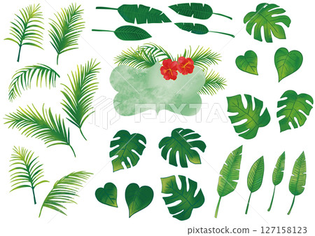水彩熱帶植物集 水彩熱帶植物集 127158123