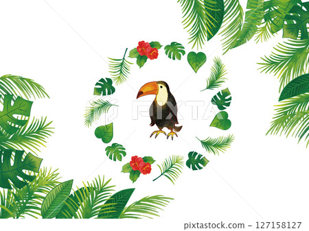 水彩風格巨嘴鳥與熱帶植物裝飾框架 3 套 水彩風格巨嘴鳥與熱帶植物裝飾框架 3 套 127158127