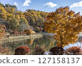 蓼科湖周邊的秋季藍天與紅葉 127158137