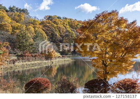 Autumn blue sky and autumn leaves around Lake Tateshina Autumn blue sky and autumn leaves around Lake Tateshina 127158137