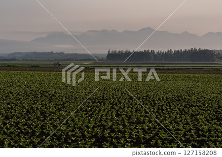 Early spring land Early spring land 127158208