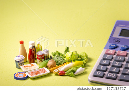 Household budget/D Household budget/D 127158717