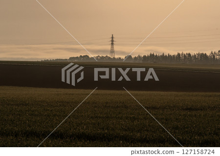 Electricity transmission tower in the morning mist 127158724