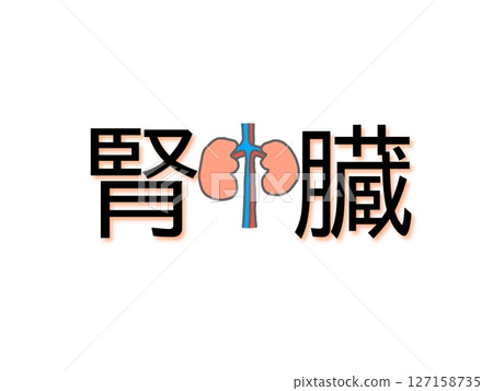 腎 127158735