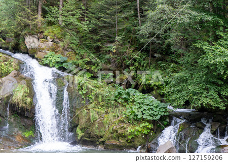 Mountain waterfall in the forest. Green nature. 127159206