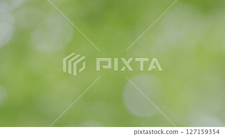 A Soft Green Bokeh Background that Creates Tranquil Aesthetics for Visual Enjoyment and Calm 127159354