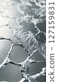 Close-up view of water textures forming unique patterns on a smooth surface. Soft light enhances details, creating a serene ambiance. Concept of design, wellness, nature appreciation 127159831