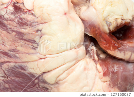 Raw frozen beef heart. 127160087