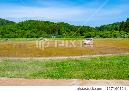 Ohirayamamoto Ruins, Sotogahama Town, Aomori, Japan 127160124