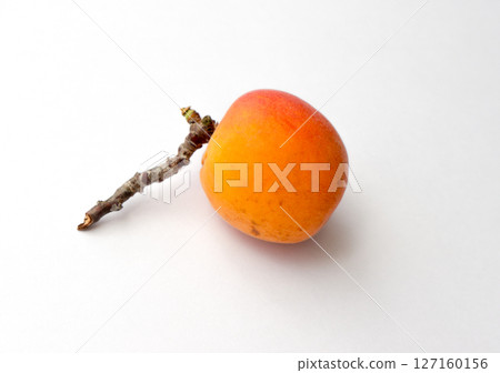 Peach on a branch on a white background. 127160156