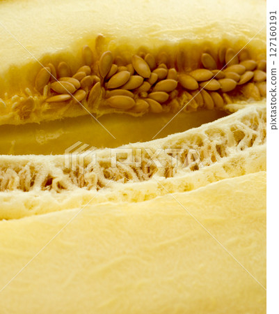 The vegetable Melon. The vegetable Melon. 127160191