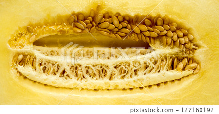 The vegetable Melon. The vegetable Melon. 127160192