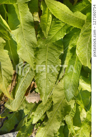 Turkish rocket 127160754