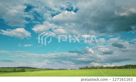 A Beautiful and Vast Cloudy Sky Spreading Over Lush and Vibrant Green Fields Located Outside A Beautiful and Vast Cloudy Sky Spreading Over Lush and Vibrant Green Fields Located Outside 127161163