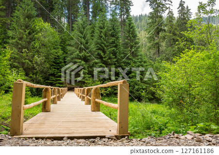 wooden bridge stretching into the depths of the coniferous forest. path over stream in summer. outdoor adventure. scenery in synevyr national park on a cloudy day wooden bridge stretching into the depths of the coniferous forest. path over stream in summer. outdoor adventure. scenery in synevyr national park on a cloudy day 127161186