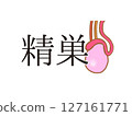 睾丸 127161771