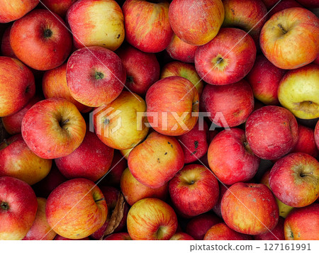 lots of berries apple for food as background 127161991
