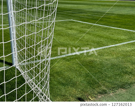 Football goal net and grass in the stadium 127162013