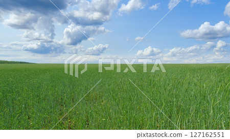 Lush, Verdant Green Fields Beneath a Beautiful, Expansive Sky Full of Clouds and Colors Lush, Verdant Green Fields Beneath a Beautiful, Expansive Sky Full of Clouds and Colors 127162551