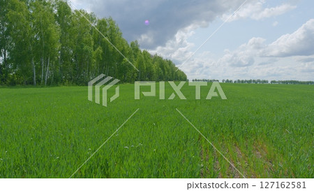 Expansive, Lush Green Fields Stretching Out Beautifully Under a Dramatic and Captivating Sky Expansive, Lush Green Fields Stretching Out Beautifully Under a Dramatic and Captivating Sky 127162581