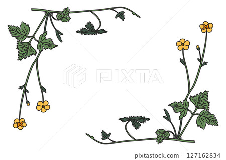 Botanical floral corner border isolated on white background. Hand drawn wildflower plant frame with yellow Flowers green Leaves Stems vector illustration. Graphic design element for Birthday Wedding Botanical floral corner border isolated on white background. Hand drawn wildflower plant frame with yellow Flowers green Leaves Stems vector illustration. Graphic design element for Birthday Wedding 127162834