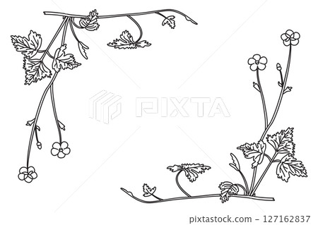 Line art botanical floral border corner isolated on white background. Hand drawn outline wildflower plant with Flowers Stems Leaves vector illustration.Graphic design element for Birthday Wedding Card Line art botanical floral border corner isolated on white background. Hand drawn outline wildflower plant with Flowers Stems Leaves vector illustration.Graphic design element for Birthday Wedding Card 127162837