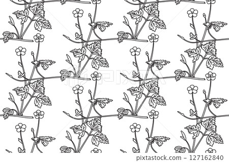 Line art botanical floral seamless pattern vector illustration. Black outline repeating wildflowers plants in white background. Graphic design for Fashion Cover Textile Wedding Print Fabric Coloring Line art botanical floral seamless pattern vector illustration. Black outline repeating wildflowers plants in white background. Graphic design for Fashion Cover Textile Wedding Print Fabric Coloring 127162840