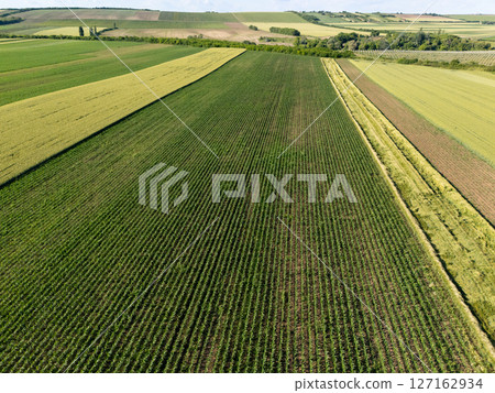 Aerial view of agricultural field 127162934
