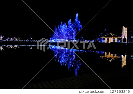 Kawachi Illumination, Ibaraki Prefecture 127163246