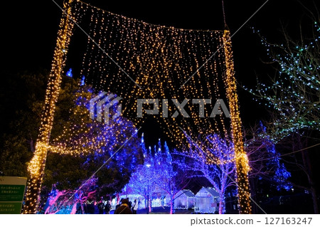 Kawachi Illumination, Ibaraki Prefecture 127163247