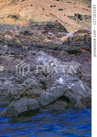 Volcanic Landscape, Galapagos National Park Volcanic Landscape, Galapagos National Park 127163285