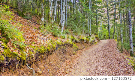 Ordesa y Monte Perdido National Park, Spain Ordesa y Monte Perdido National Park, Spain 127163572