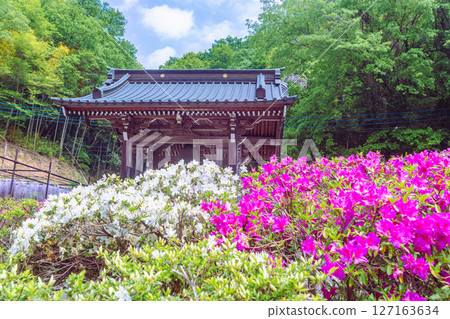 Azalea of Bonehata 1-16 127163634