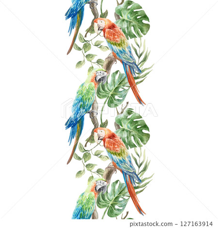 Tropical vertical border with macaws and green palm leaves. Hand drawn watercolor illustration isolated on white. For cards, invitations, textiles, fabrics, wrapping paper, wallpapers, covers. 127163914