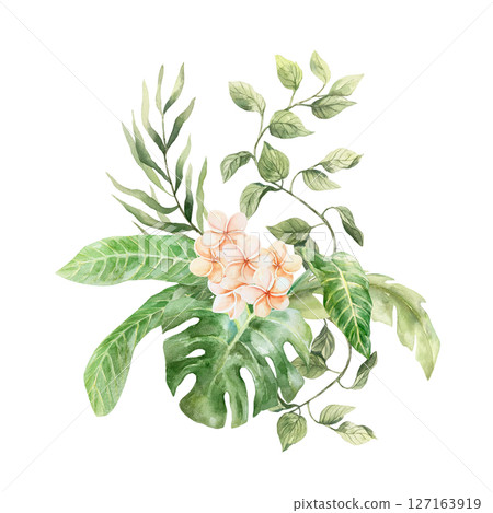 Tropical bouquet with plumeria flowers, monstera leaves, palm and liana. Hand drawn watercolor illustration isolated on white. For greeting cards, invitations, summer banners, posters, labels. Tropical bouquet with plumeria flowers, monstera leaves, palm and liana. Hand drawn watercolor illustration isolated on white. For greeting cards, invitations, summer banners, posters, labels. 127163919