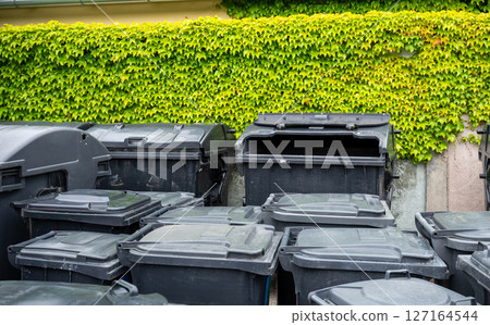 Multiple black garbage bins against green ivy-covered wall outdoors in daylight 127164544
