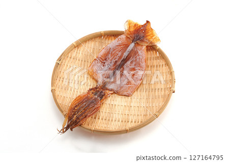 Squid Squid 127164795