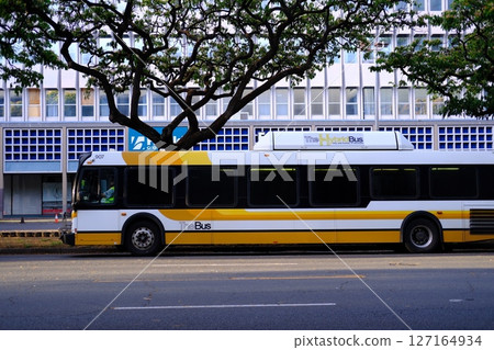 停在檀香山公車站的巴士 127164934