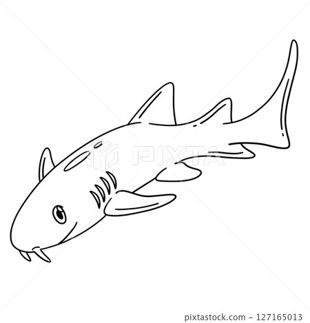 Shark Animal Isolated Coloring Page for Kids  127165013