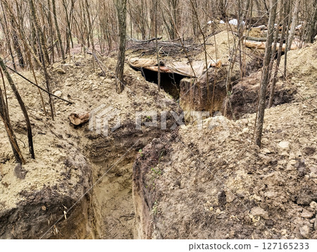 Trench system hidden in a forest clearing, showcasing earthworks and camouflage structure Trench system hidden in a forest clearing, showcasing earthworks and camouflage structure 127165233