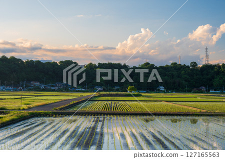 Rural scenery in Nakatsu: countryside at dusk 127165563