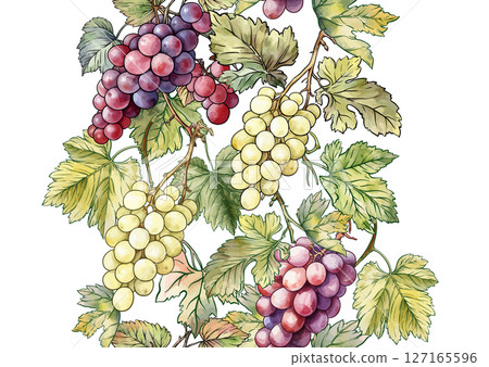 Seamless vector pattern with ripe grape 127165596