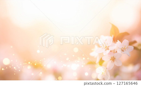 Cherry blossoms and soft spring light 127165646