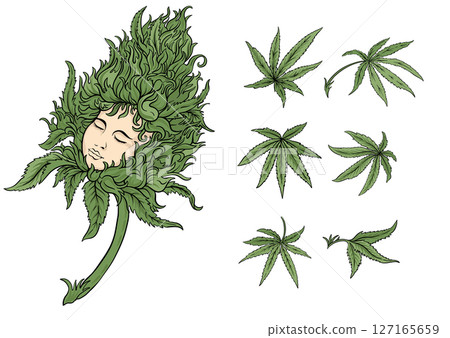 Vector set of cannabis leaves 127165659