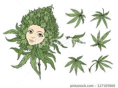Vector set of cannabis leaves 127165660