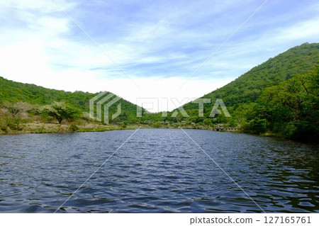 Natural marshland scenery 127165761