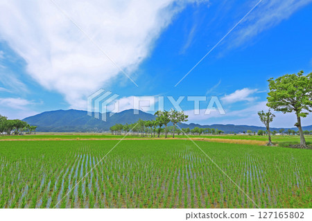 插秧後的風景（新潟縣） 127165802