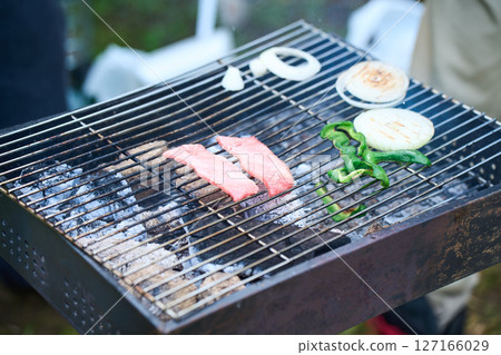 Camping, outdoor, barbecue, BBQ, grilled meat, charcoal fire 127166029