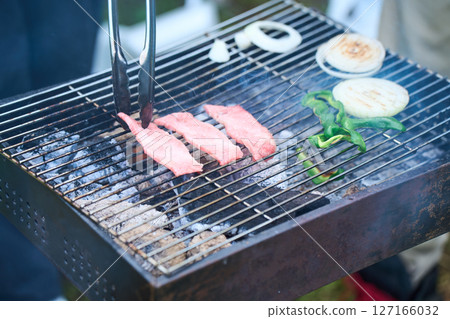 Camping, outdoor, barbecue, BBQ, grilled meat, charcoal fire 127166032